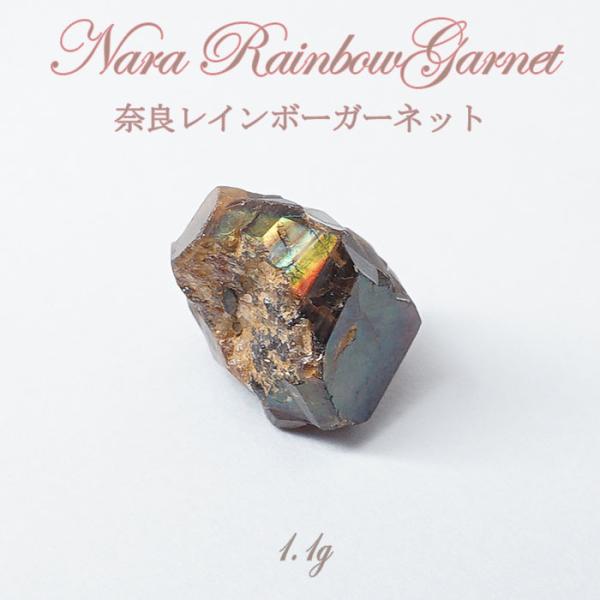 gem-kawasemi_g-rg-190625-003 gem-kawasemi_g-rg-190625-003