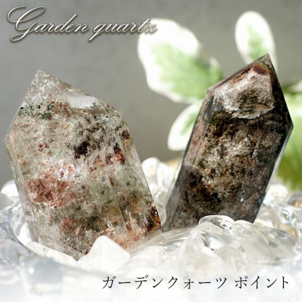gem-kawasemi_gardenqz-po4500