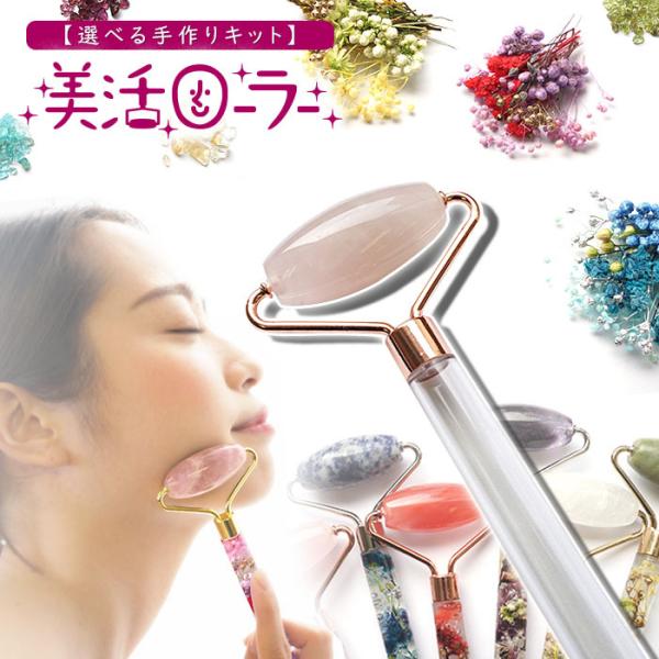 gem-kawasemi_habaro-kit