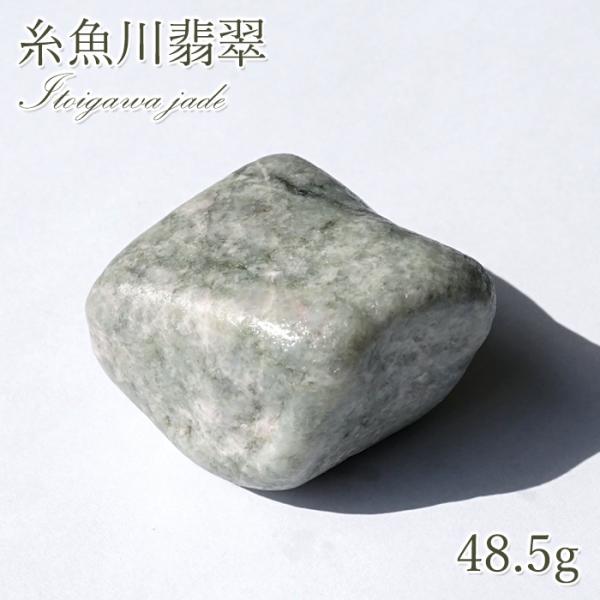 gem-kawasemi_itoigawagen9900 gem-kawasemi_itoigawagen9900