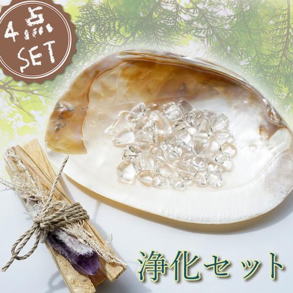 gem-kawasemi_jyouka-pr
