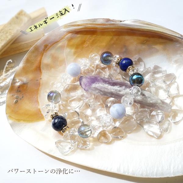 浄化セット スターターキット 4点セット 当店オリジナルアイテム