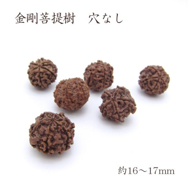 パワーズウッド