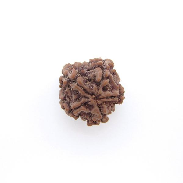 パワーズウッド