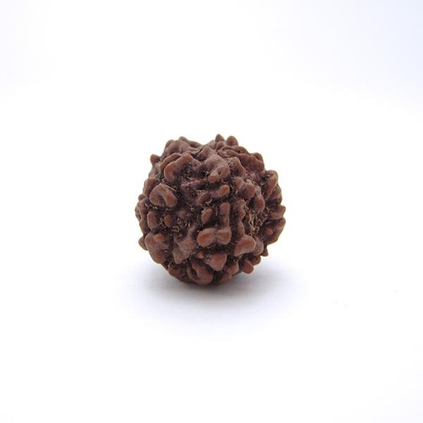 パワーズウッド