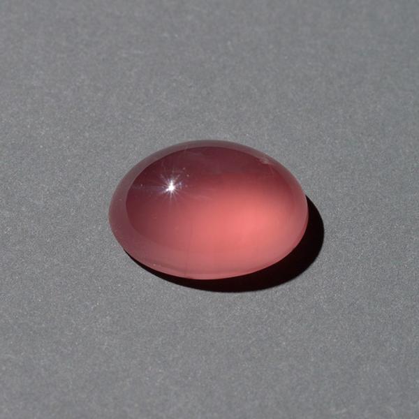 gem-kawasemi_lo-rc-084