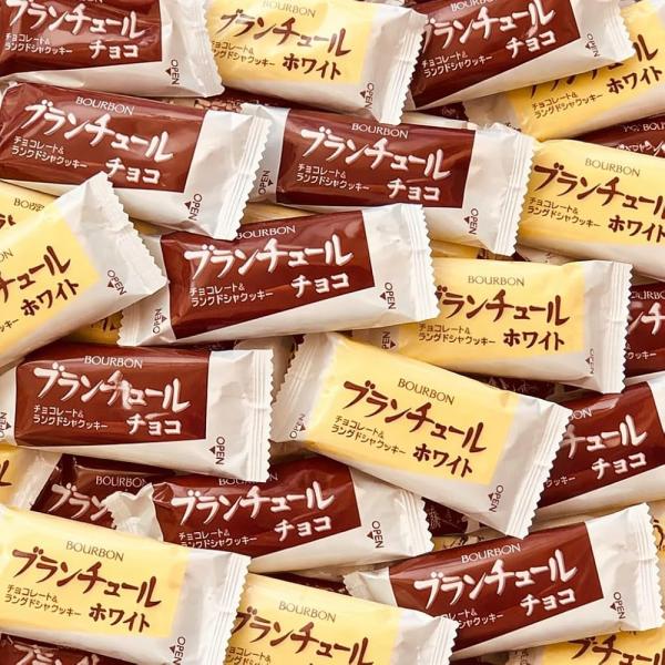 [64枚] 業務用 ブランチュール チョコレート＆ラングドシャクッキー 約500g