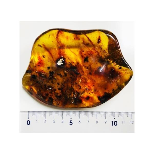 ドミニカ産琥珀　虫入り琥珀　約4・5グラム ドミニカ産 虫入りブルーアンバー 643.43ct ルース 虫入り琥珀