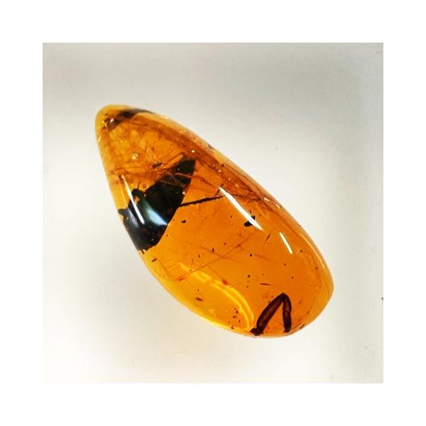 ブルーアンバー 虫入り フリーシェイプ ドミニカ産 琥珀 16.60ct : gem