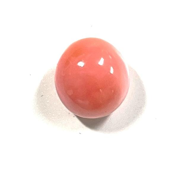 コンクパール 2.76ct ソーティング付き ルース