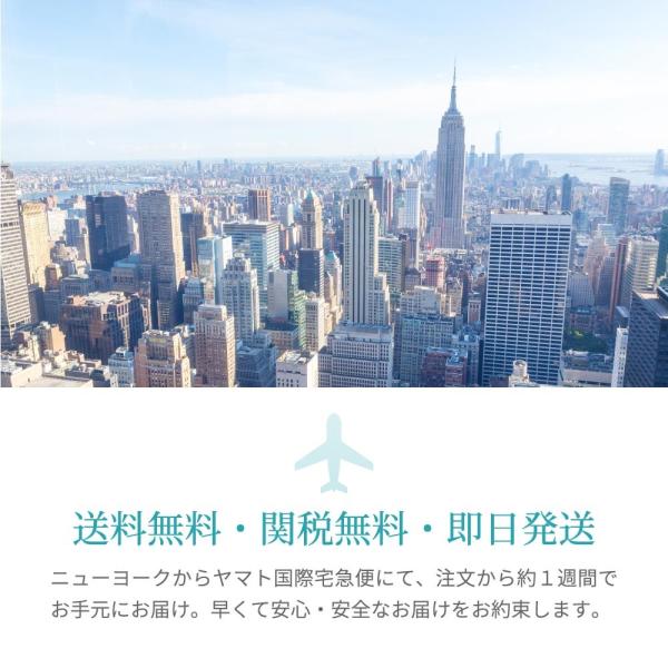 Forever One DEF モアサナイト ピアス レディース 18金 ホワイト 