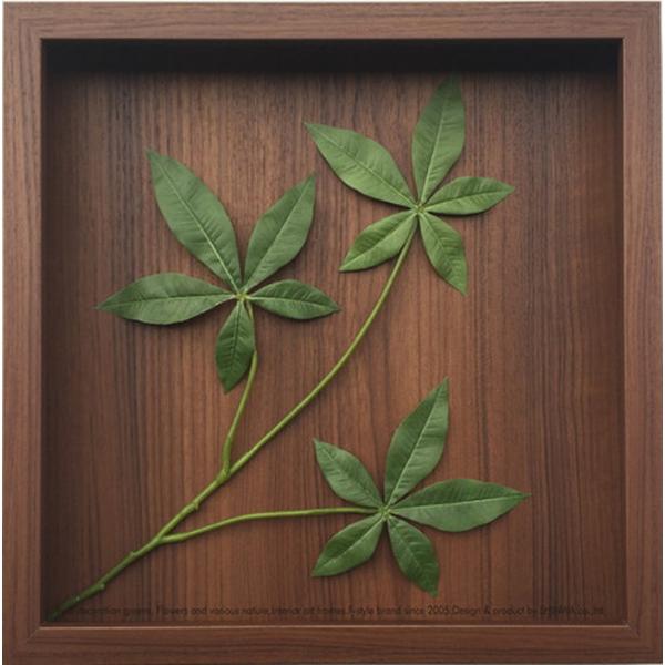 パキラ インテリアの人気商品 通販 価格比較 価格 Com