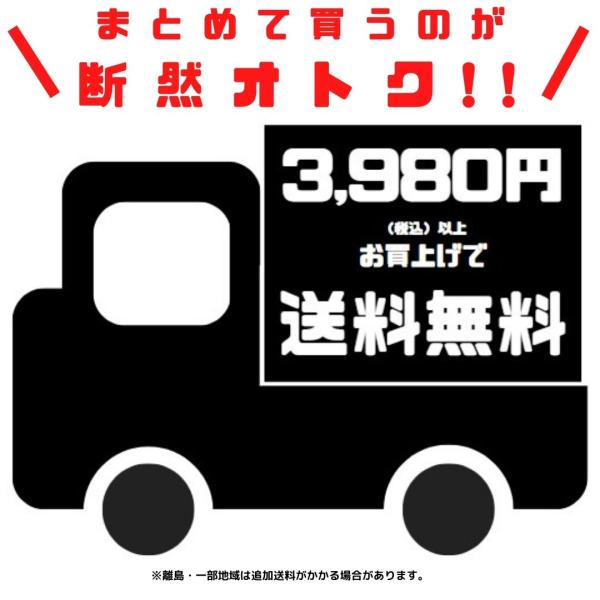 �s�b�g���[�N �I�C���t�B���^�[ �I�C���G�������g AY100-NS035 AY100NS035 ���i�摜1
