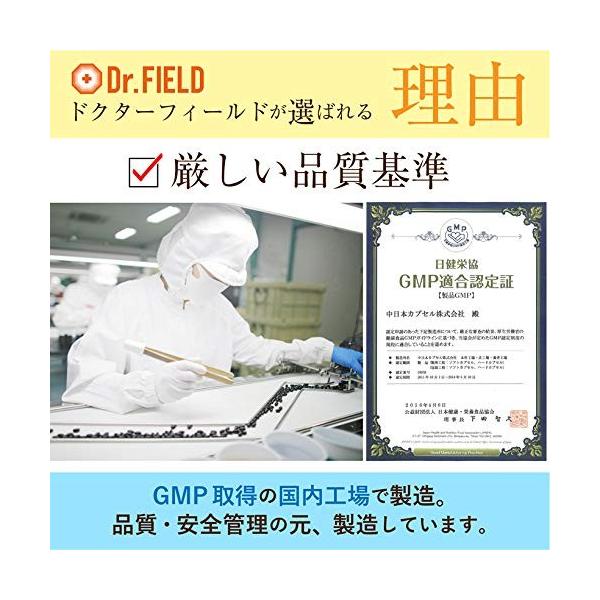 Dr Field ドクターフィールド 0粒 当店は最高な サービスを提供します レギュラーサイズ