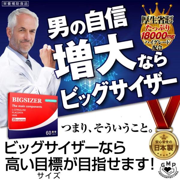 増大サプリメント ビッグサイザー 男性用 増大サプリ 1箱30日分 mg スッポン マカ 亜鉛 アルギニン シトルリン 全商品オープニング価格 マムシ