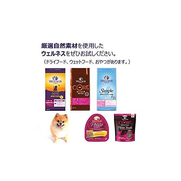 ウェルネス ドッグフード 成犬用 1歳以上 プチアントレ 穀物不使用 85gx24個 柔らか煮込み ビーフamp サーモン入り ケー 贈答 チキン