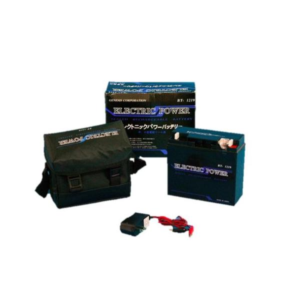 エレクトニックパワーバッテリー12V19AH