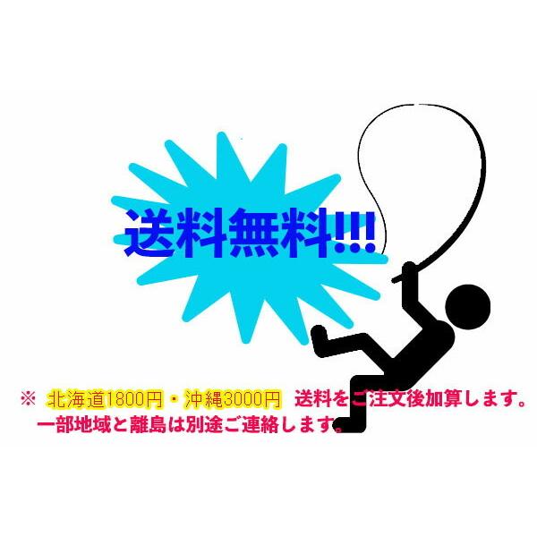 激安超特価 ネプチューンクーラーボックス６０ｌ 大型 保冷力 ハード アウトドア 釣り キャンプ フィッシング 部活 イベント おしゃれ かっこいい Aynaelda Com