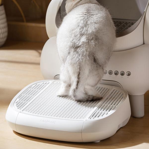 genhighstore_p-489_7_d_20240925111638