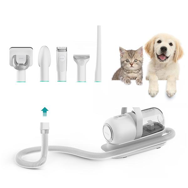 genhighstore_petdt_2