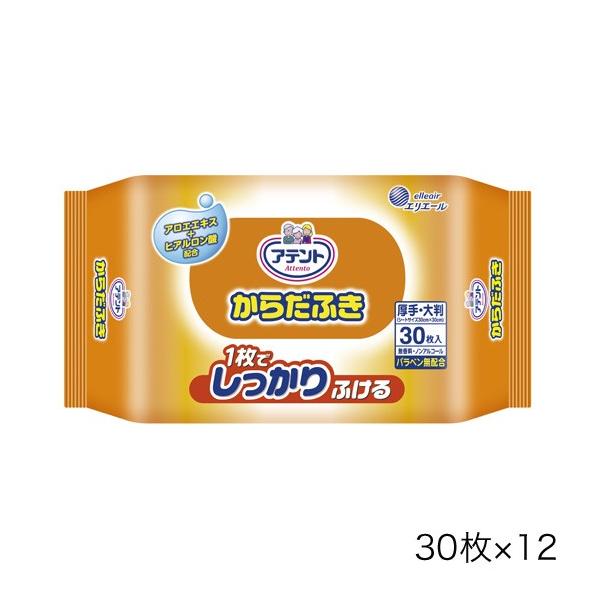 min@W875320 P[X̔ Aeg 炾ӂ30×12miȊOƓsn