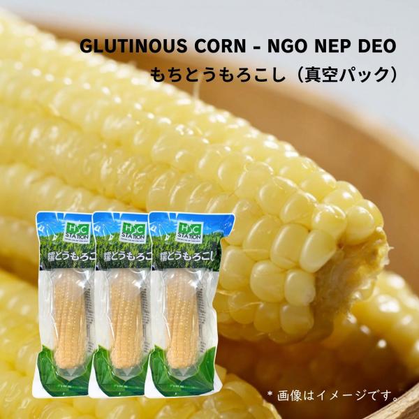 糯 トウモロコシ 260g, NGO NEP HSC　3本（袋）セット中国産特有のもちもち食感トウモロコシ日本産との食感の違いを楽しんでみてください♪　送料無料調理済み 温めるだけ 真空パックコーン 中華食材 中国産 電子レンジOK！粒の中...