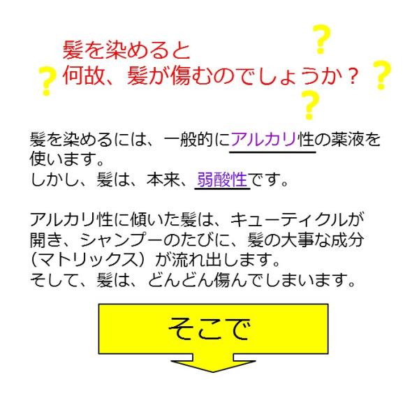 ヘアカラーでアルカリ性に傾いた毛髪に Ph調整クリーム エルコス イーセラプ Phc 0g Buyee 日本代购平台 产品购物网站大全 Buyee一站式代购 Bot Online