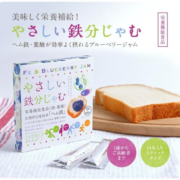 鉄分補給 ヘム鉄 貧血対策 ブルーベリー ジャム やさしい鉄分じゃむ(ブルーベリー)10ｇ×14本入り×２箱セット メール便