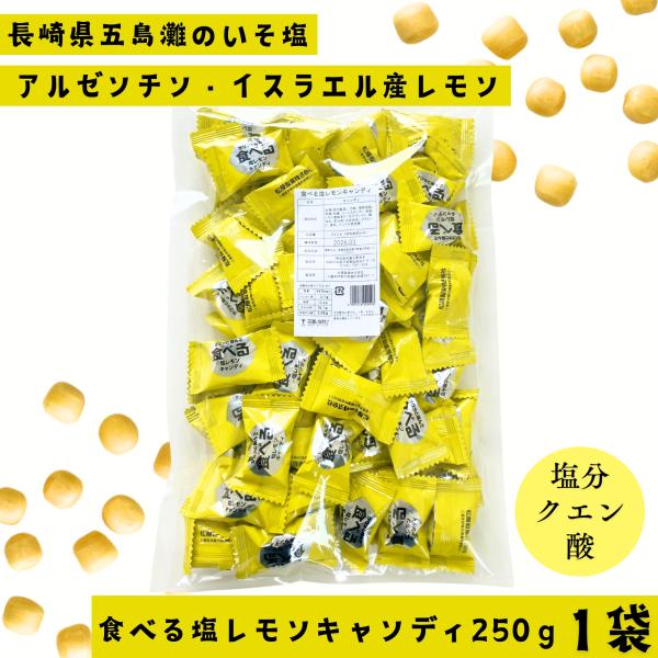 食べる塩レモンキャンディ250ｇ1袋 松屋製菓 熱中症対策 塩分補給 メール便