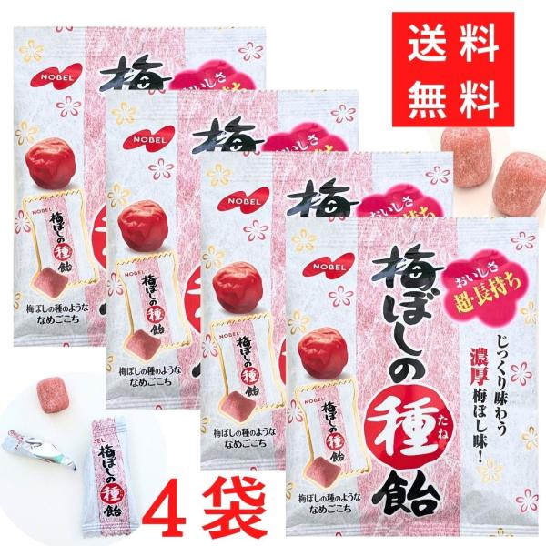 送料無料 メール便 梅ぼしの種飴 30g 4袋 ノーベル製菓 濃厚 梅ぼし味 キャンディー