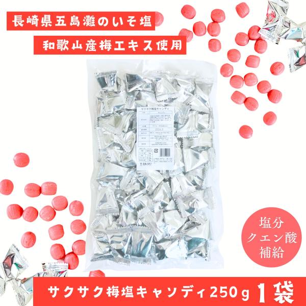 サクサク梅塩キャンディ250ｇ 1袋 松屋製菓 熱中症対策 塩分補給 メール便