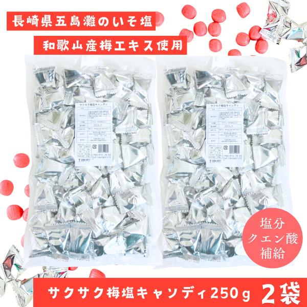サクサク梅塩キャンディ250ｇ 2袋 松屋製菓 熱中症対策 塩分補給 送料無料 メール便