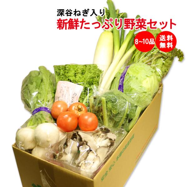 品目：新鮮たっぷり野菜セット 8〜10品目（深谷ねぎ入り）産地：埼玉県深谷市産〇規格深谷ねぎ３本（本数は変更になる場合があります）と季節ごとに厳選してお届けします。３〜４人家族の方にピッタリの宝箱のような野菜セットです。旬の野菜を食卓に！〇...