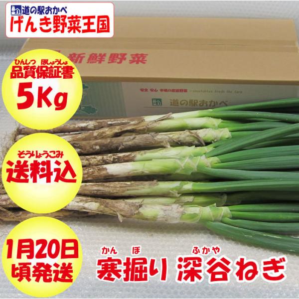 冬ギフト】寒堀り深谷ねぎ 5Kg 【送料込み 贈答用 期間限定:1月20日頃出荷予定】 :101003:道の駅おかべ げんき野菜王国 - 通販 - Yahoo!ショッピング 冬ギフト】寒堀り深谷ねぎ 5Kg 【送料込み 贈答用 期間限定:1月20日頃出荷予定】 :101003:道の駅おかべ げんき野菜王国 - 通販 - Yahoo!ショッピング