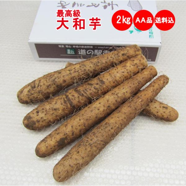 〇品目：大和芋２Kg AA品：最高級※AA品はとは、キズやスジがなく形が揃っていてキレイ。外観や長さ・太さ等の規格がAA品を満たした最高級大和芋。化粧箱入り。〇入数：大和芋２kg（５〜８本）〇発送条件配送方法：常温発送※天候により収穫ができ...