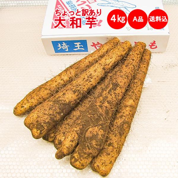 〇品目：大和芋4Kg A品：ちょっと訳あり※A品は「ちょっと訳あり」とは、長さや太さ等のサイズがAA品規格を満たさず、たまにキズやスジもあります。でも味はAA品と同等です。〇入数：大和芋4kg（10〜16本）〇発送条件配送方法：常温発送※天...