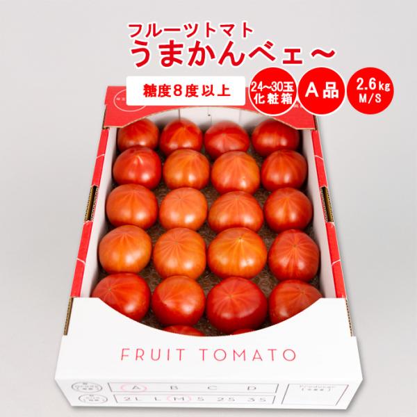 ★トマト祭★ スペインの奇祭「トマト祭り」。ブニョールの町も人も真っ赤に染まる