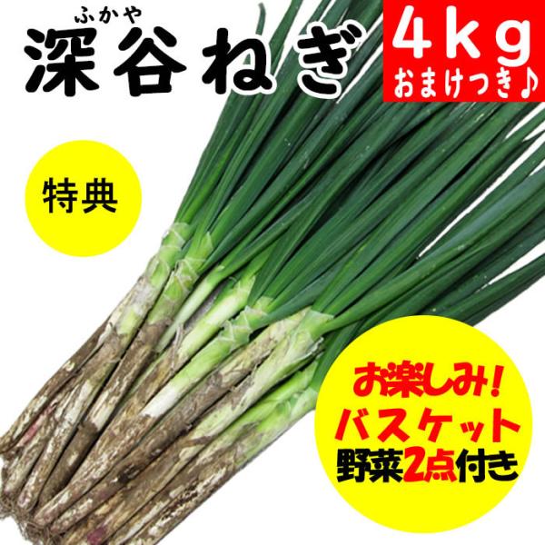 葱4kgダブル 特典付き