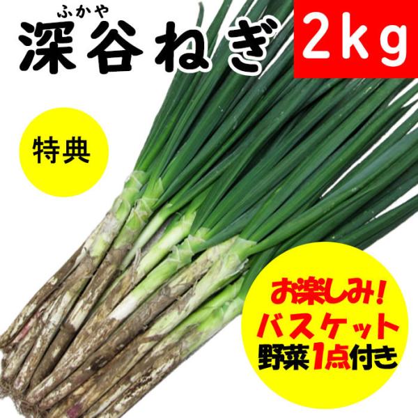 葱2kg 特典付き