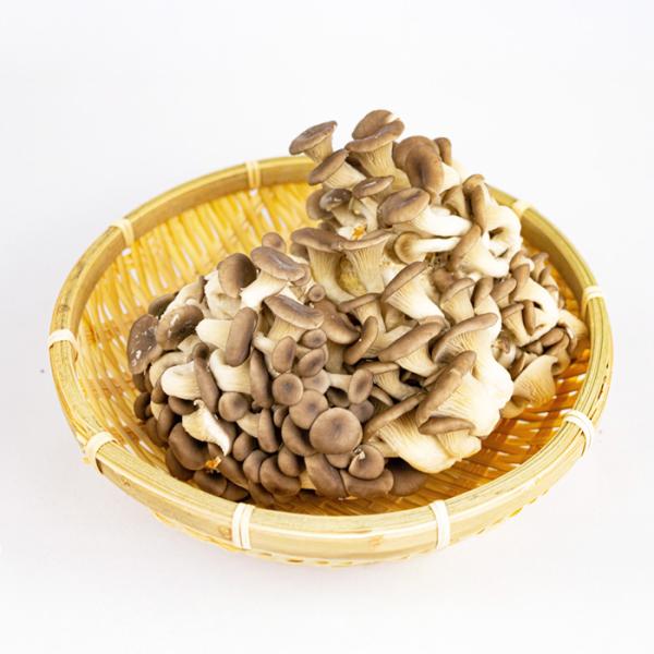 菌床（きんしょう）しめじ 約200g【埼玉県深谷市産 送料別】 : 道の駅