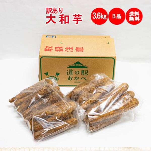 品目：埼玉県深谷市産の大和芋・訳あり入数：３．６ｋｇ入り（１．８ｋｇ×２袋）規格：傷やスジなどありますが、味には変わりありません。１袋あたり、短いものや形が不揃いのもの10本から18本が目安。長さ等の指定はできません。サイズや形など見た目に...