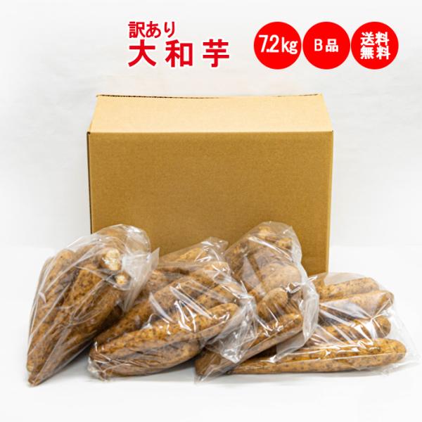 genkioukoku_2520062306500-4