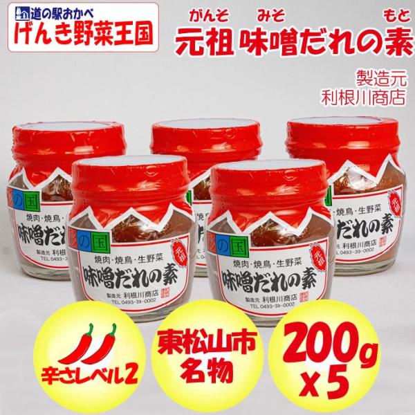 元祖味噌だれの素x5