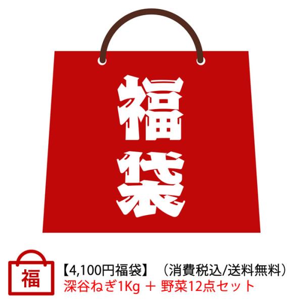 [Release date: December 27, 2025]品目：新春福袋  4100円内容：深谷ねぎ１Kgと野菜 計12点。※深谷ねぎ１Kgと地場野菜12点の福袋です。何が入っているかはお楽しみ！※専門バイヤーが厳選吟味した深谷市産...