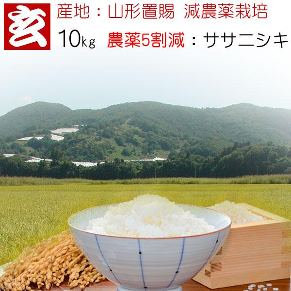 令和3年産　新米　減農薬生産 減農薬米 - たんぼや市河十三代