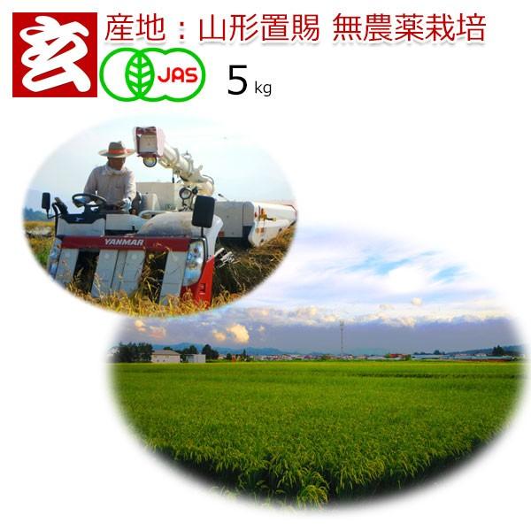 無農薬米 5kg 送料無料 JAS有機認証 山形県産 無農薬コシヒカリ 玄米