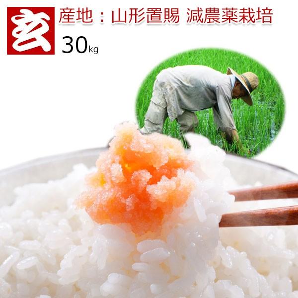 山形県産 はえぬき 米の人気商品・通販・価格比較 - 価格.com 山形県産 はえぬき 米の人気商品・通販・価格比較 - 価格.com