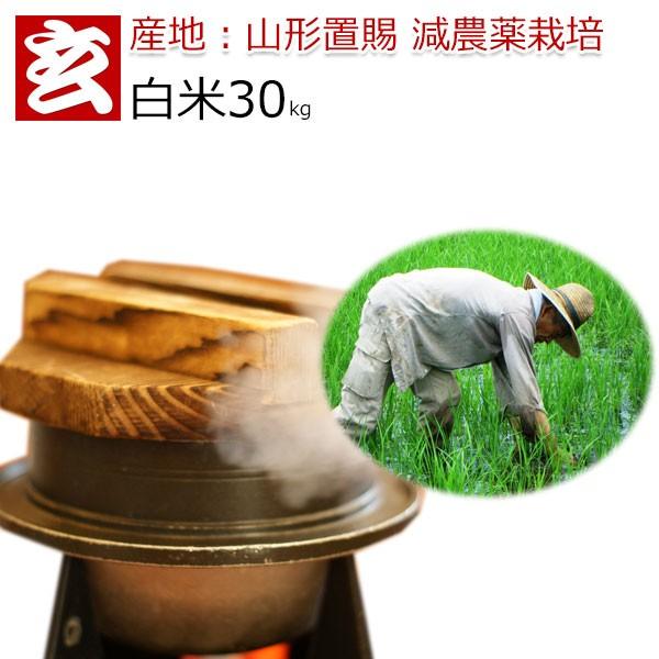 減農薬 米の人気商品・通販・価格比較 - 価格.com 減農薬 米の人気商品・通販・価格比較 - 価格.com