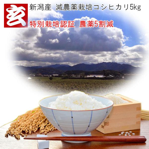 V  5kg  ߘa7NY V _RVqJ  5kg  đI YҁFҕ