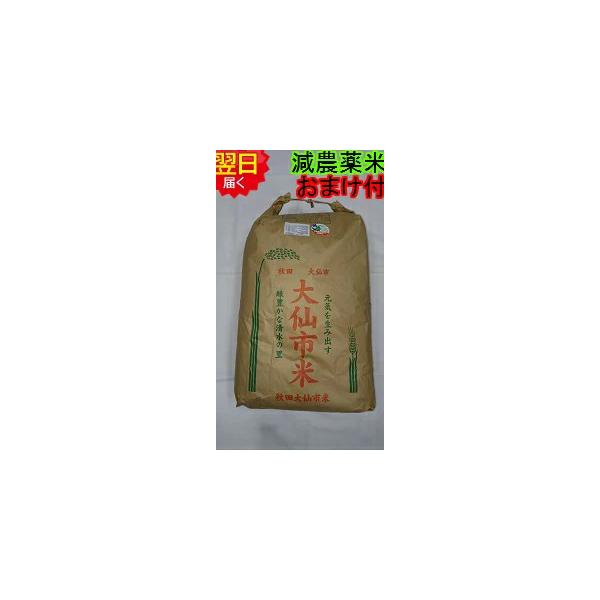 あきたこまち 令和7年産 秋田県産 減農薬米 玄米30kg(精米無料) 送料